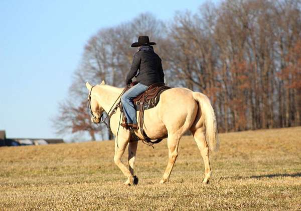 roping-quarter-horse