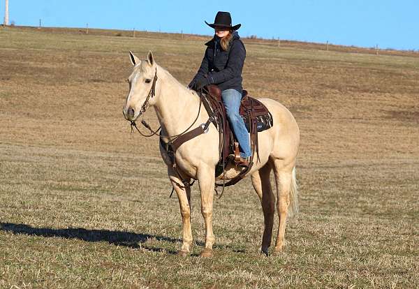 trail-riding-quarter-horse