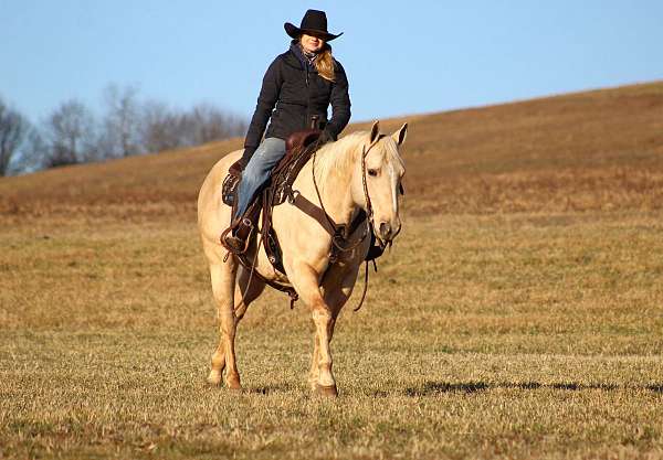 western-riding-quarter-horse