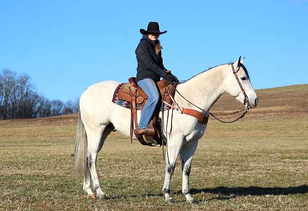 ranch-versatility-quarter-horse