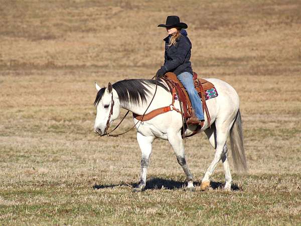 roping-quarter-horse