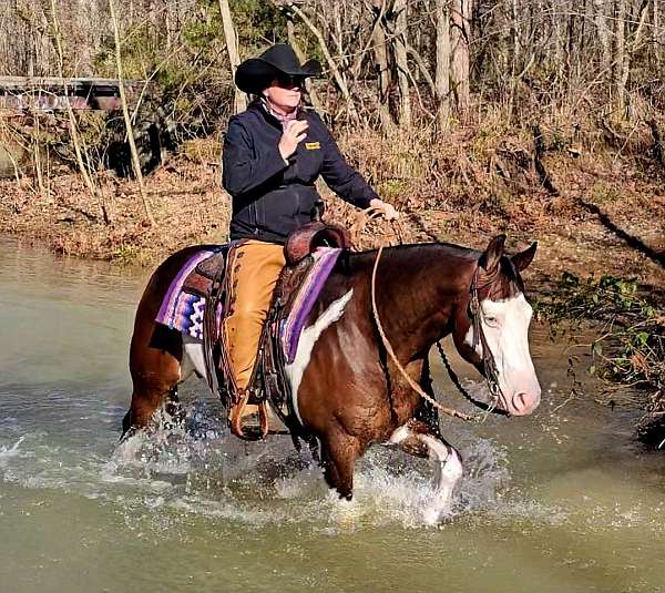 performance-quarter-horse