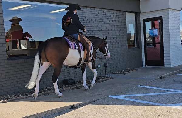 ranch-versatility-quarter-horse