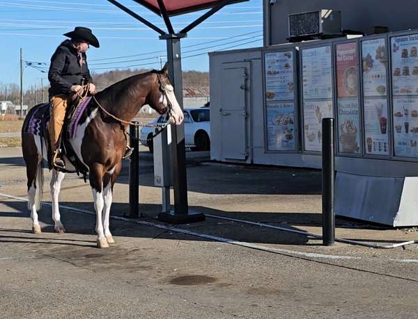 ranch-work-quarter-horse