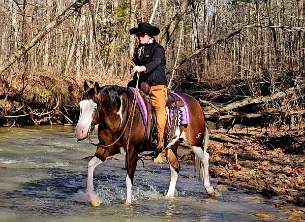 husband-safe-quarter-horse