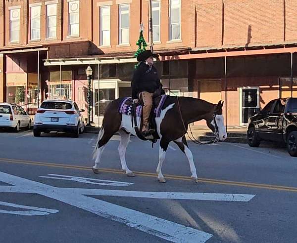 ridden-western-quarter-horse