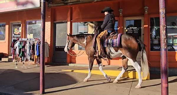 roping-quarter-horse