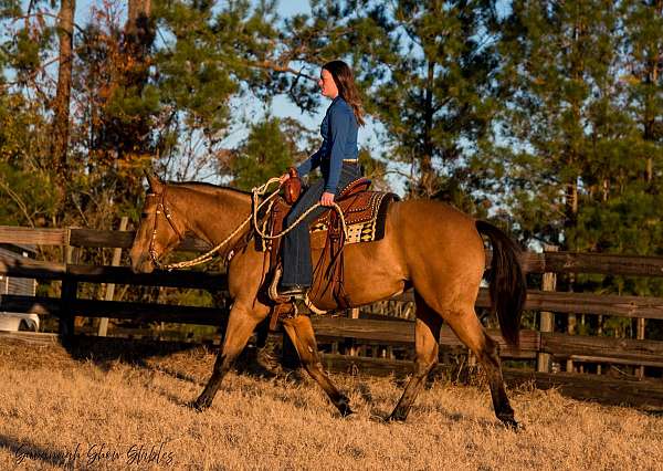 kid-safe-quarter-horse