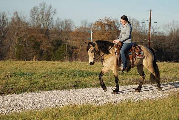 buckskin-mare-for-sale