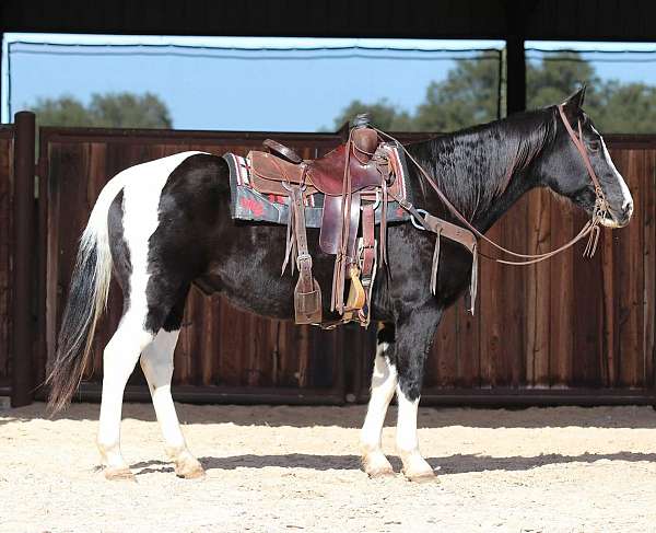 ranch-work-quarter-horse