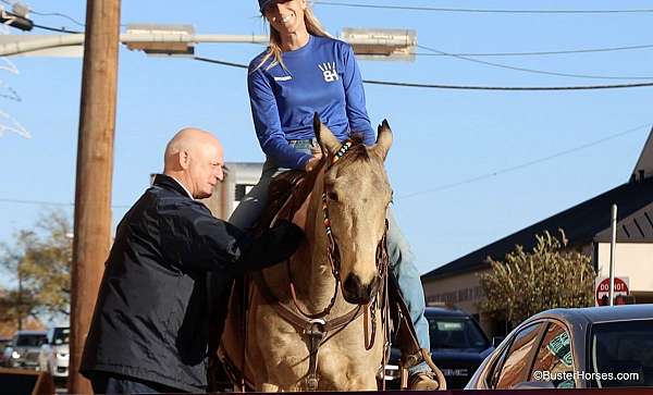 husband-safe-quarter-horse