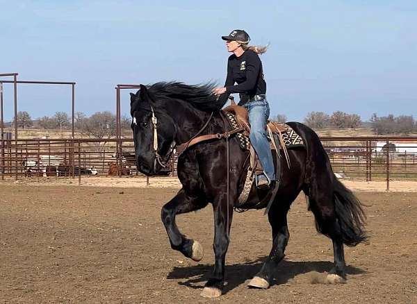 percheron-horse