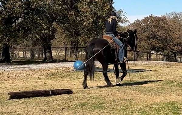 athletic-percheron-horse