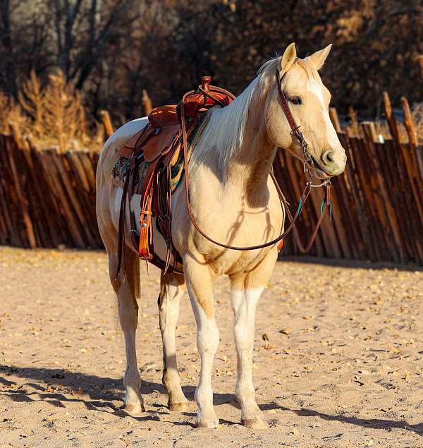 ranch-work-paint-horse