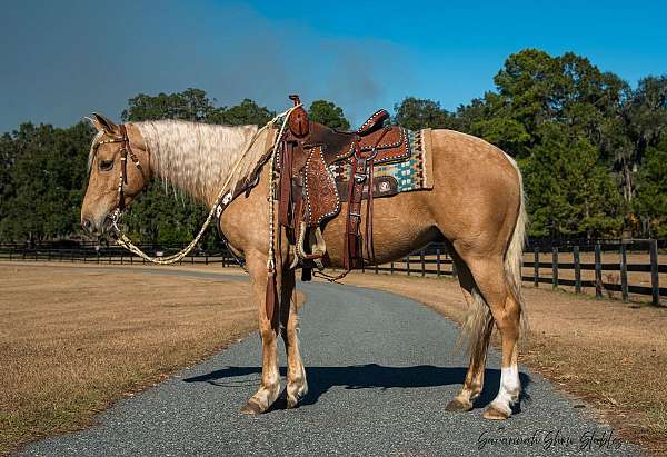 jumping-quarter-horse