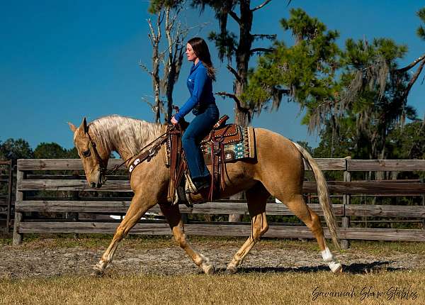 ranch-work-quarter-horse