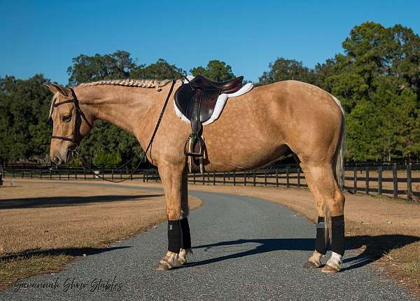 roping-quarter-horse