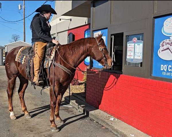 calf-roping-quarter-horse