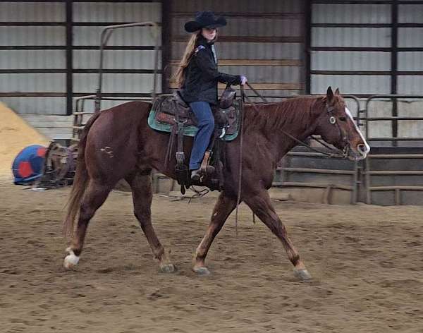 team-penning-quarter-horse