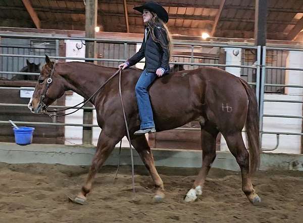 trail-riding-quarter-horse