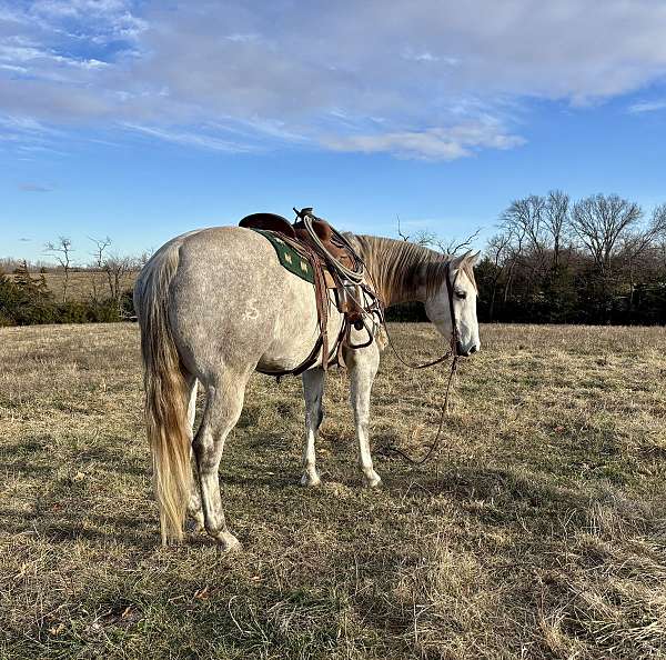 trail-riding-quarter-horse