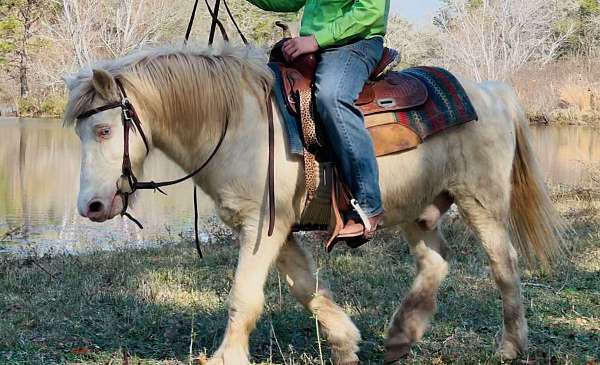 barrel-racing-gypsy-vanner-horse