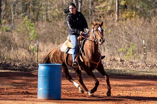 barrel-racing-thoroughbred-horse