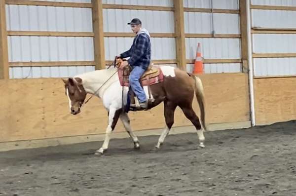 tobiano-horse