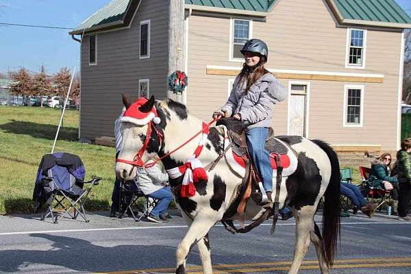 overo-barrel-working-horse