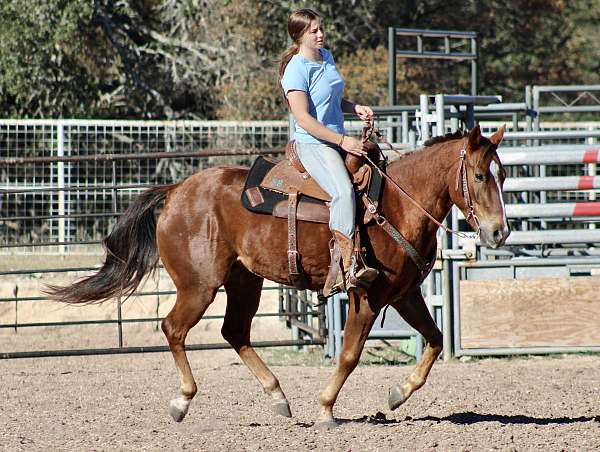 ridden-western-quarter-horse