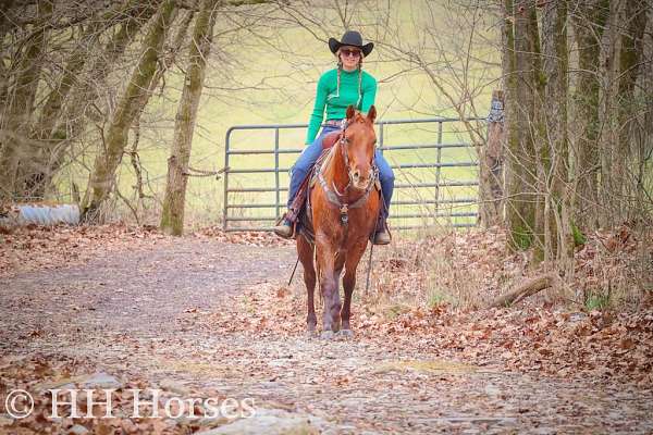 drill-team-quarter-horse