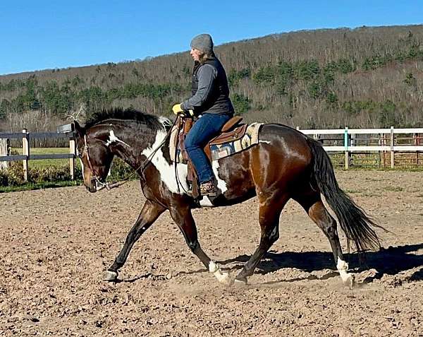 ranch-paint-horse