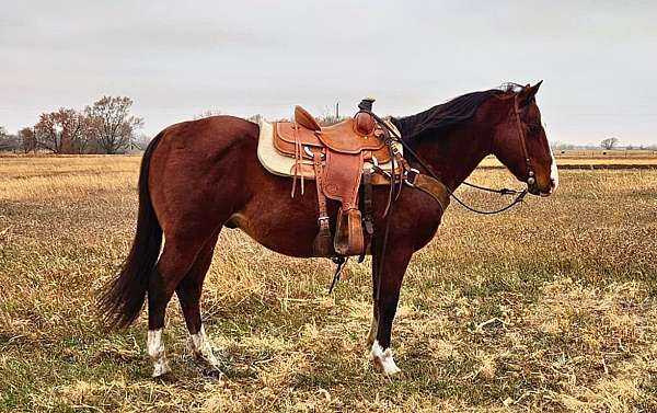 ranch-work-trail-riding