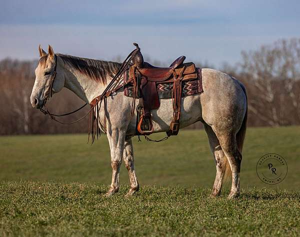 rocking-chair-lope-mare