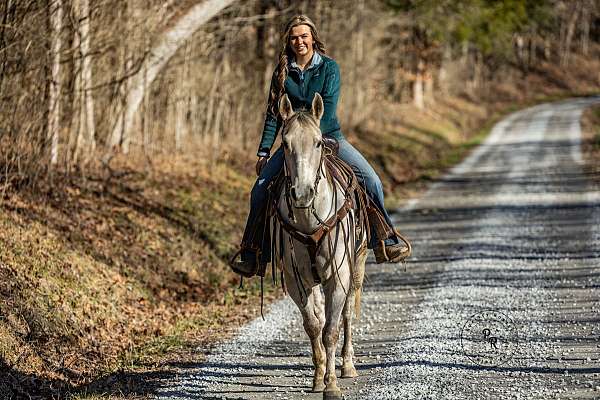 aqha-quarter-horse