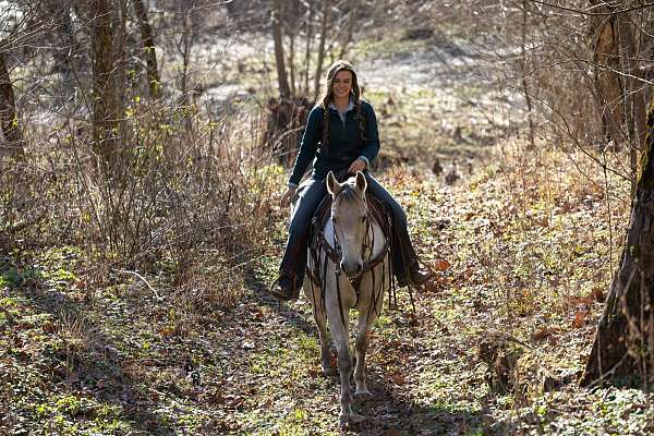 barn-quarter-horse