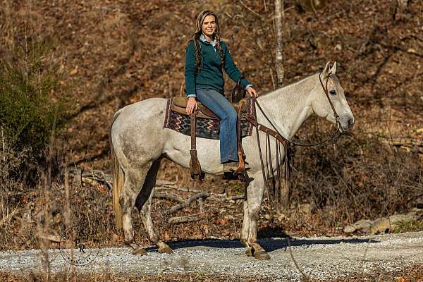 beautiful-quarter-horse