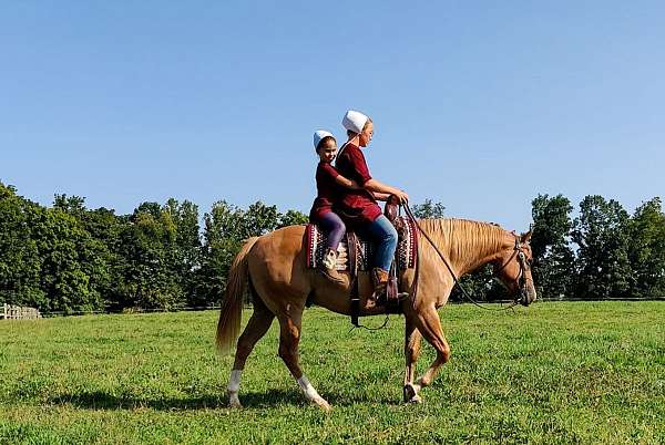 arena-work-quarter-horse