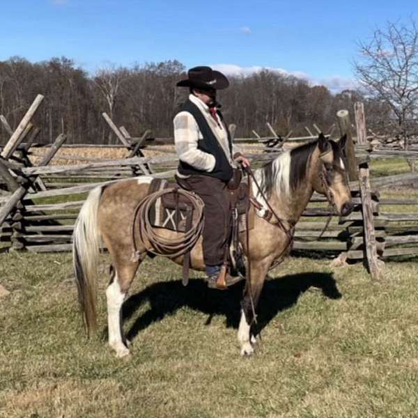 buckskin-white-dappled