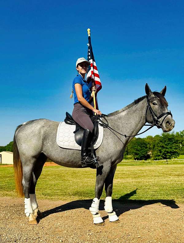 ranch-work-quarter-horse