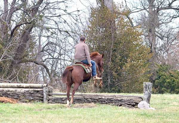 chestnut-blaze-horse