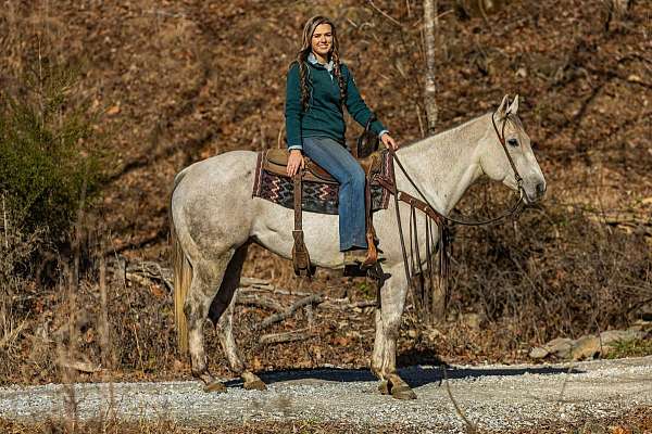 all-around-quarter-horse