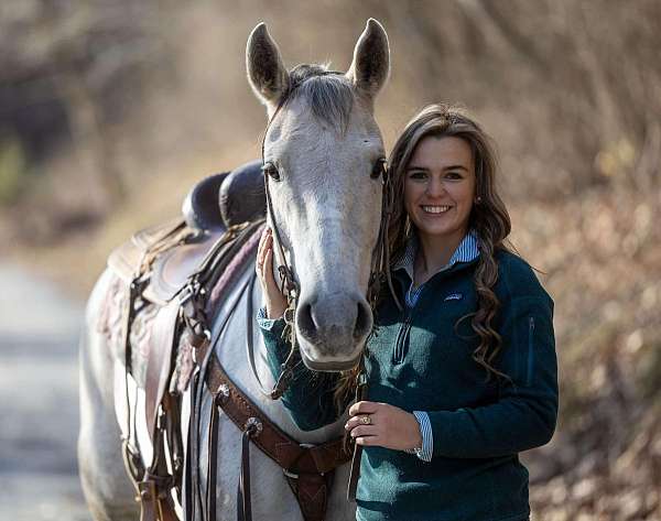 trail-quarter-horse