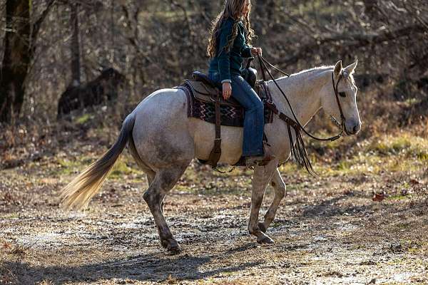 beginner-quarter-horse