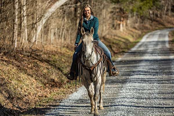 husband-safe-quarter-horse