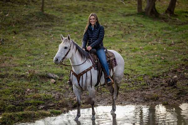 ranch-versatility-quarter-horse