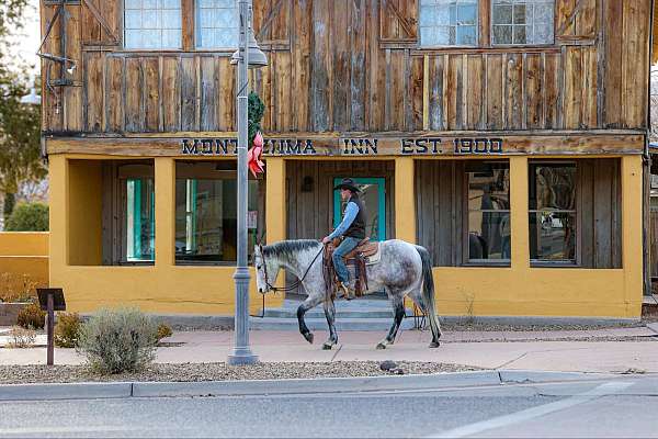 flashy-quarter-horse