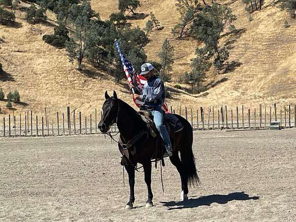 ranch-work-quarter-horse