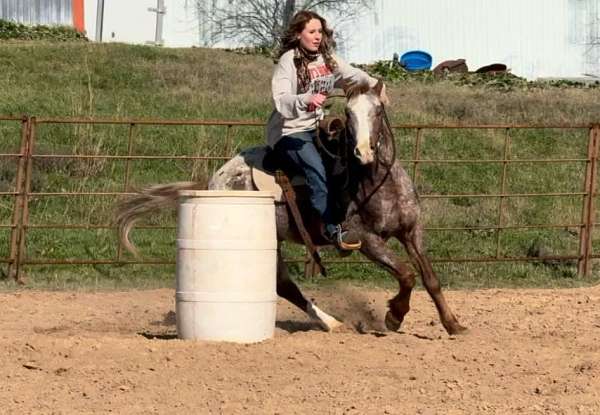 bridle-quarter-pony