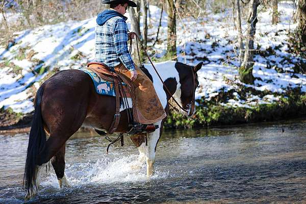 longhorn-horse